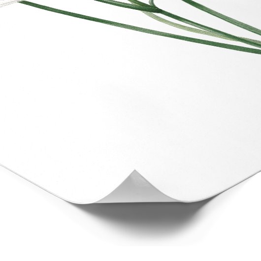 HOOGSTE KWALITEIT Botanische afdruk van Hemerocall Poster (Hoek)