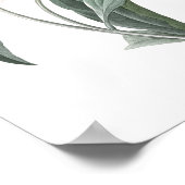 HOOGSTE KWALITEIT Botanische afdruk van pony Poster (Hoek)