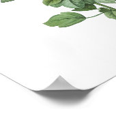 HOOGSTE KWALITEIT Botanische afdruk van Redutea Ro Poster (Hoek)