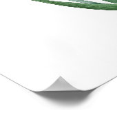 HOOGSTE KWALITEIT Botanische afdruk van Tuberose Poster (Hoek)