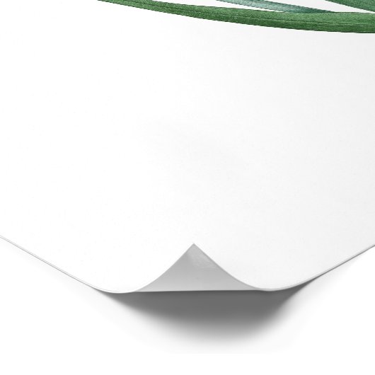 HOOGSTE KWALITEIT Botanische afdruk van Tuberose Poster (Hoek)