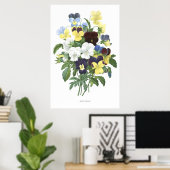 HOOGSTE KWALITEIT Botanische afdruk van Viola Tric Poster (Thuiskantoor)