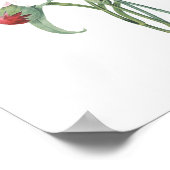 HOOGSTE KWALITEIT Botanische afdrukken van anjers Poster (Hoek)