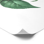 HOOGSTE KWALITEIT Botanische afdrukken van Camelli Poster (Hoek)