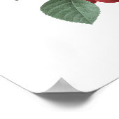 HOOGSTE KWALITEIT Botanische afdrukken van kersen Poster (Hoek)