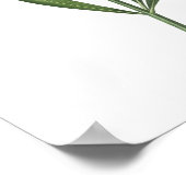 HOOGSTE KWALITEIT Botanische afdrukken van Oleande Poster (Hoek)