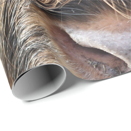 HOOGSTE VANGSTGEBIED VAN DE KOE CADEAUPAPIER (Rol Hoek)