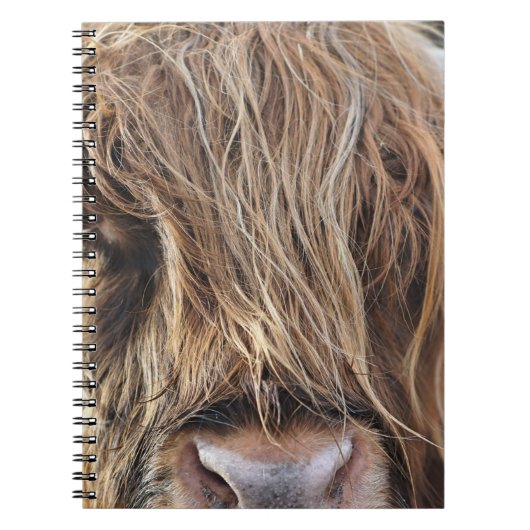 HOOGSTE VANGSTGEBIED VAN DE KOE NOTITIEBOEK (Voorkant)