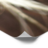 HOOGSTE VANGSTGEBIED VAN DE KOE POSTER (Hoek)