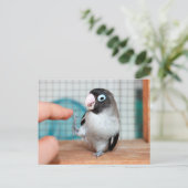 Hoogste vijf! briefkaart (Staand voorkant)