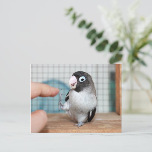 Hoogste vijf! briefkaart (Staand voorkant)