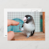 Hoogste vijf! briefkaart (Voorkant / Achterkant)