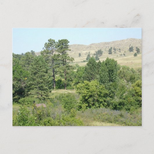 Hoogste woestijn briefkaart (Voorkant)