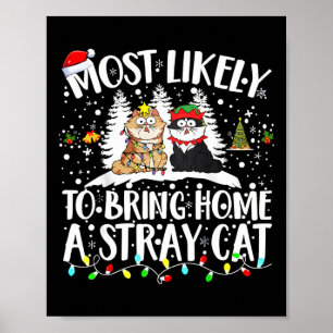 Hoogstwaarschijnlijk een verdwaalde kat mee naar h poster