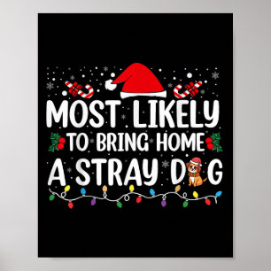 Hoogstwaarschijnlijk een zwerfhond thuisbrengen me poster