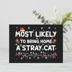 Hoogstwaarschijnlijk een zwerfkat met Kerstmis mee Kaart