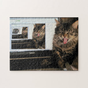 Hoogtechnologische slachting in 3D Legpuzzel