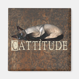 Hoogteligging Magneet