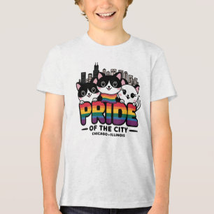 Hoogtepunten van Chicago City Illinois USA Rainbow Tri-Blend Shirt