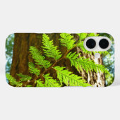 Hoogtepunten van een botanische kustmammoetboom Case-Mate iPhone case (Achterkant (horizontaal))