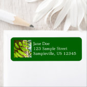 Hoogtepunten van een botanische kustmammoetboom etiket (Insitu)