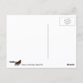 Hoogtepunten van een Redwood Tree Botanical Briefkaart (Achterkant)