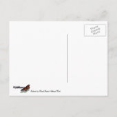 Hoogtepunten van een Redwood Tree Botanical Briefkaart (Achterkant)