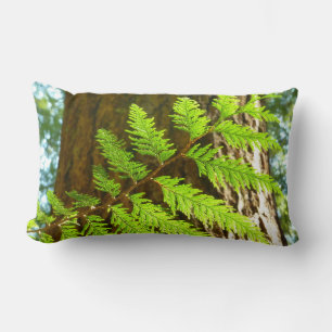 Hoogtepunten van een Redwood Tree Botanical Kussen