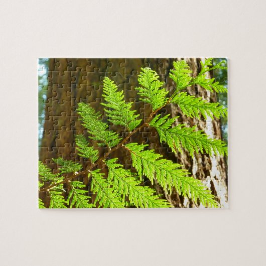 Hoogtepunten van een Redwood Tree Botanical Legpuzzel (Horizontaal)