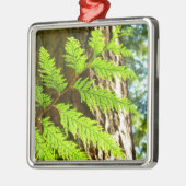 Hoogtepunten van een Redwood Tree Botanical Metalen Ornament (Links)