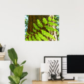 Hoogtepunten van een Redwood Tree Botanical Poster (Thuiskantoor)