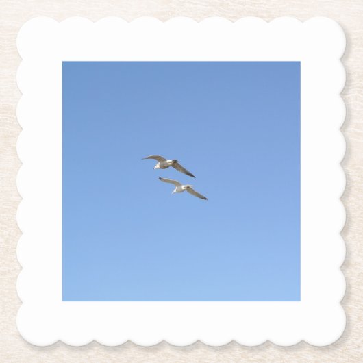 Hoogvliegende zeegarenden - kartonnen onderzetters (Voorkant)