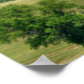 Hoogvlieger Poster (Hoek)