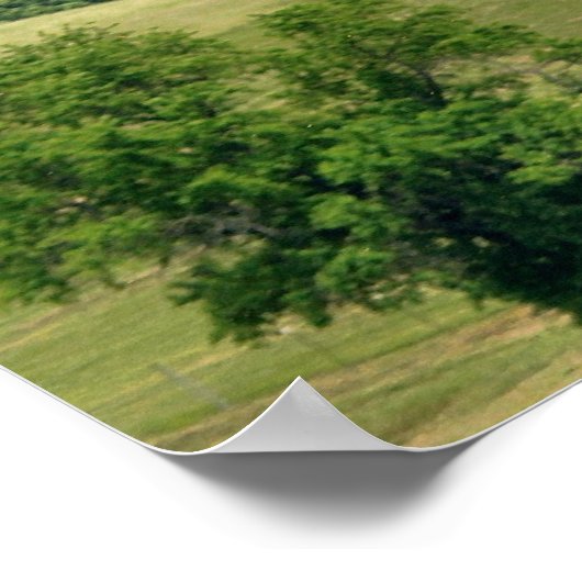 Hoogvlieger Poster (Hoek)