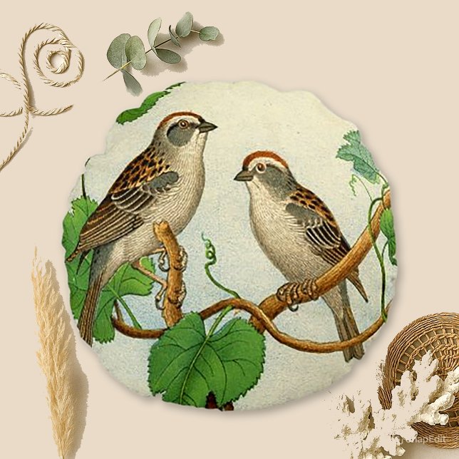 hoogvogels rond kussen (Creator heeft geüpload)