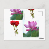 Hoogwaardig ontwerp briefkaart (Achterkant)