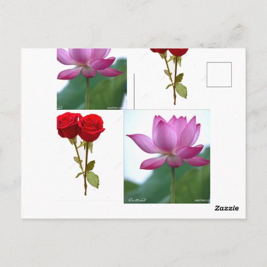 Hoogwaardig ontwerp briefkaart (Achterkant)