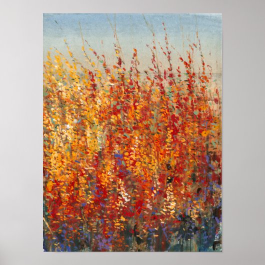 Hoogwoestijnbloesem II Poster (Voorkant)