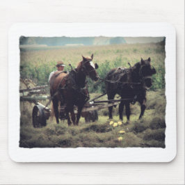 Hooi maken met paarden muismat