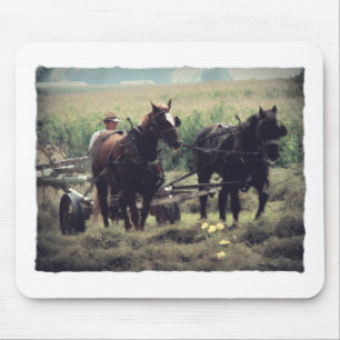 Hooi maken met paarden muismat