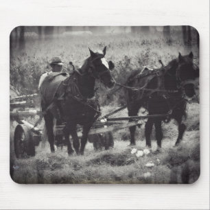 Hooi maken met paarden zwart en wit muismat