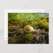 hooi voor slakkendag! briefkaart (Voorkant / Achterkant)