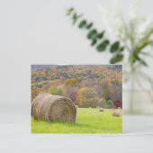 Hooibalen en herfst op boerderij; briefkaart (Staand voorkant)