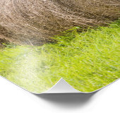 Hooibalen en herfst op boerderij; foto afdruk (Hoek)