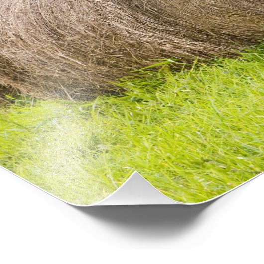 Hooibalen en herfst op boerderij; foto afdruk (Hoek)