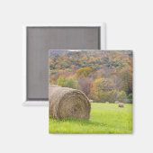 Hooibalen en herfst op boerderij; magneet (Voorkant / Achterkant)