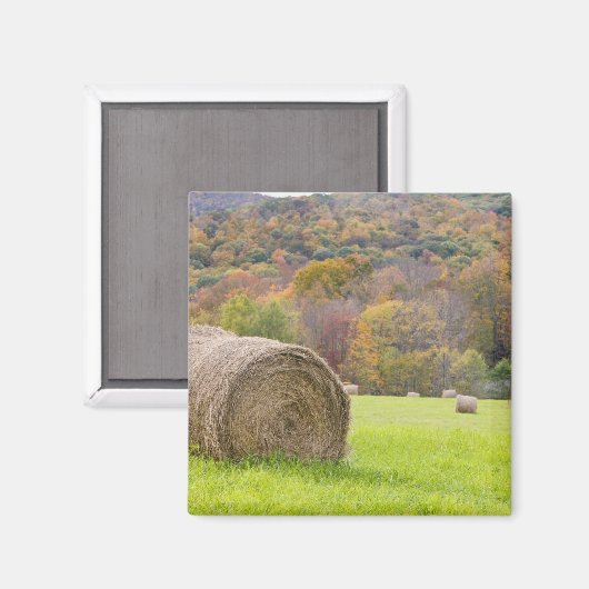 Hooibalen en herfst op boerderij; magneet (Voorkant / Achterkant)