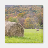 Hooibalen en herfst op boerderij; magneet (Voorkant)