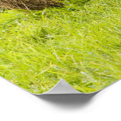 Hooibalen en herfst op boerderij; poster (Hoek)