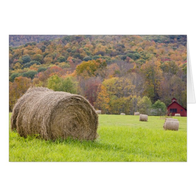 Hooibalen en herfstloof op boerderij, (Voorkant Horizontaal)